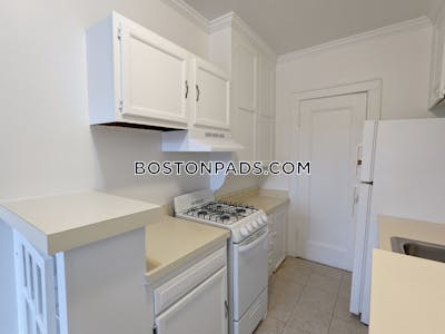 Brighton Apartment for rent 1 Bedroom 1 Bath Boston - $2,885 No Fee